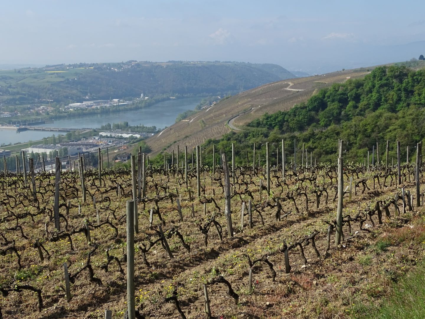 Udsigt over Cote Rotie